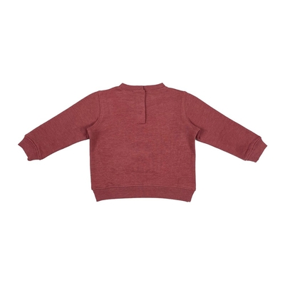 Baby Boys Comfortable Cotton Polyester Fleece Pullover Sweatshirt with O-Neck Collar