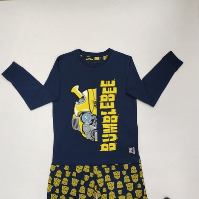 Age 0-16 Years Boys Clothing Sets 100% Cotton Long Tshirt and Pants Clothing Options