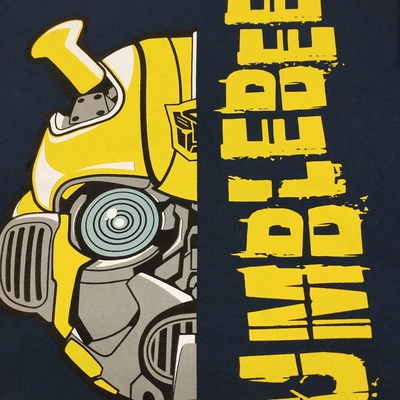 Age 0-16 Years Boys Clothing Sets 100% Cotton Long Tshirt and Pants Clothing Options